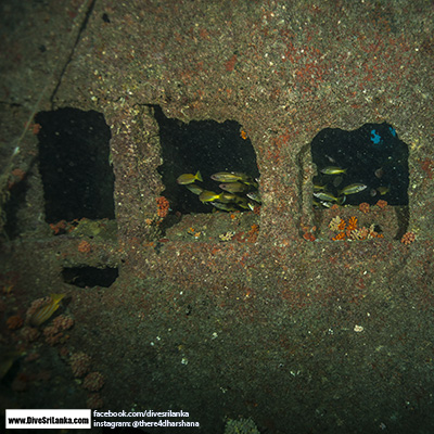 Clarke Wreck hull